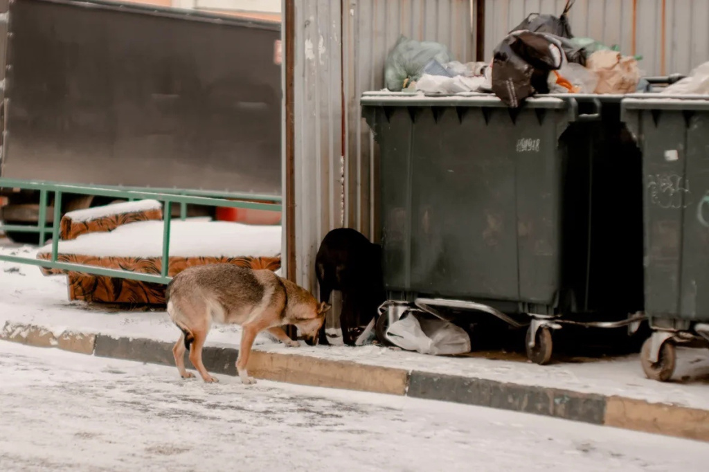 93sNwbWNpKk.jpg 93sNwbWNpKk.jpg