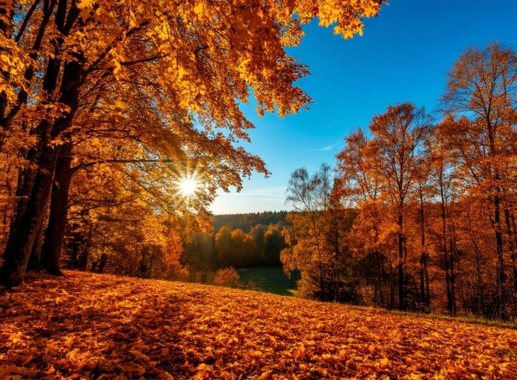 CH0LQKEbfnJTx_QE1-fugZtWFqqLseKkUeoPGCH6-qNILMptu7aRfmL3TfaCUcilMvJ77bTJ3Y8yBK3HZzoM7TWS.jpg CH0LQKEbfnJTx_QE1-fugZtWFqqLseKkUeoPGCH6-qNILMptu7aRfmL3TfaCUcilMvJ77bTJ3Y8yBK3HZzoM7TWS.jpg