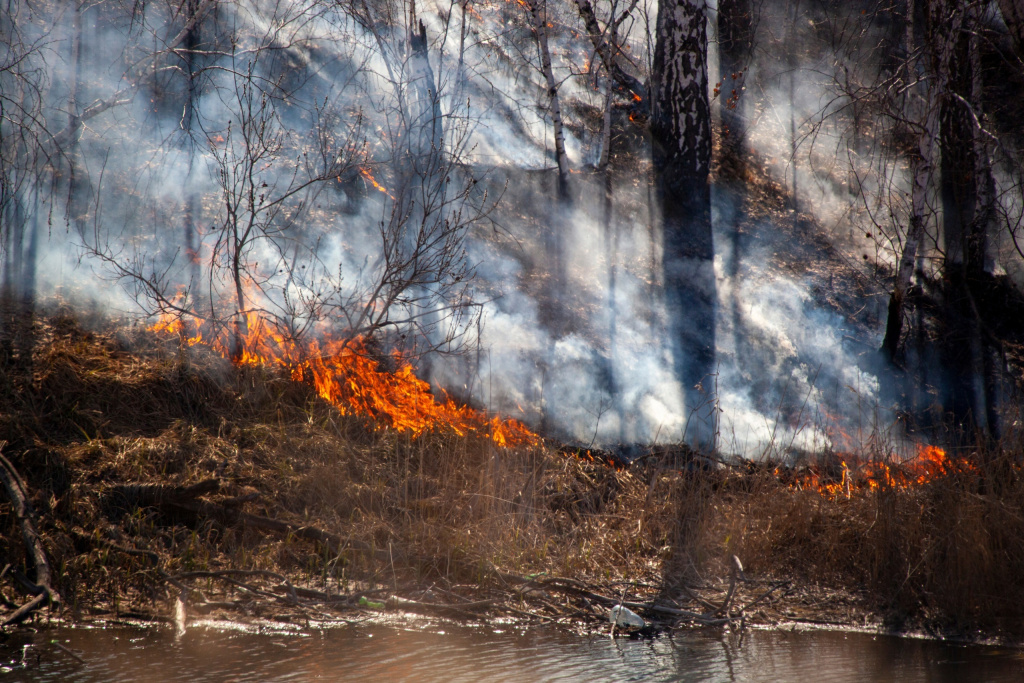 9WKdNfA78CI.jpg 9WKdNfA78CI.jpg