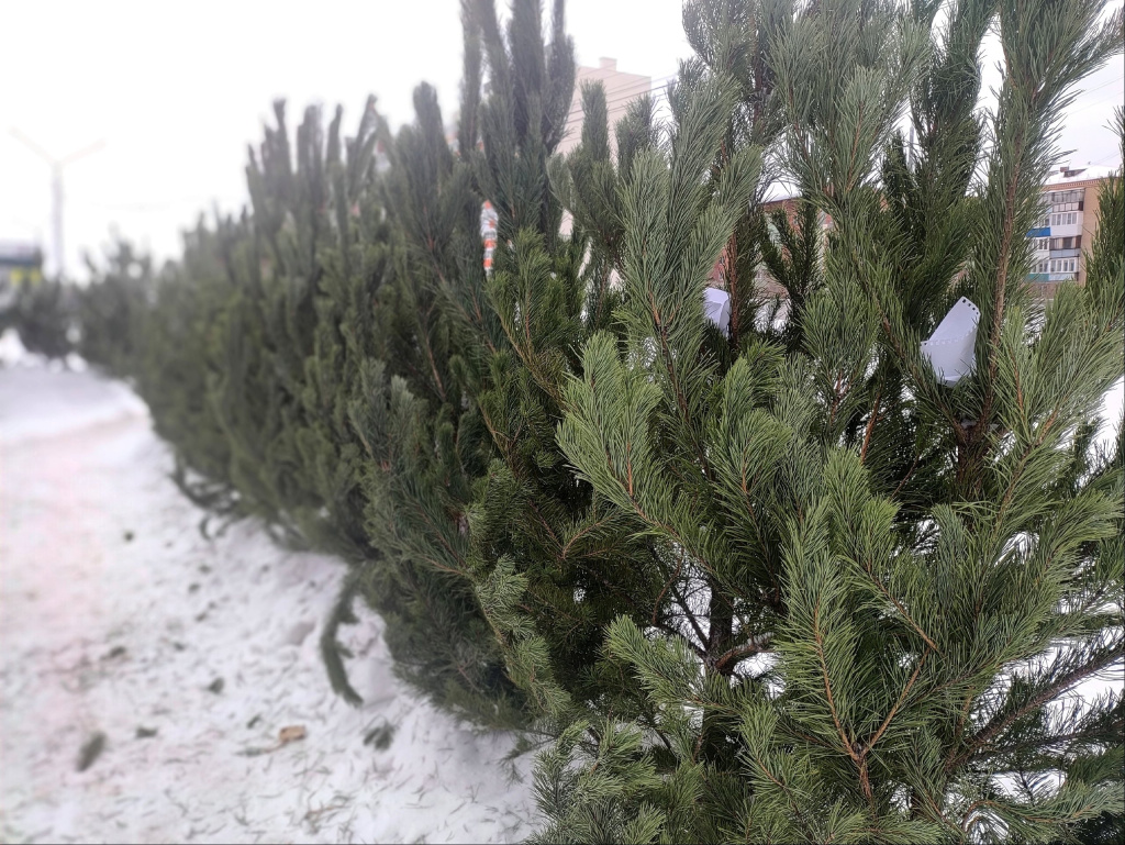 NRYwOheXb04miWnzUQP8mKx1mwYa79fiR--I3aBAHETQ1O0LXgb4WIntgd4P95wEvDY_QijDCORdbmoSOlu5Sgip.jpg NRYwOheXb04miWnzUQP8mKx1mwYa79fiR--I3aBAHETQ1O0LXgb4WIntgd4P95wEvDY_QijDCORdbmoSOlu5Sgip.jpg